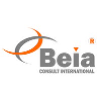 Beia Consult International logo, Beia Consult International contact details