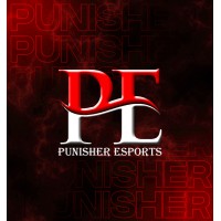 PUNISHER ESPORTS logo, PUNISHER ESPORTS contact details