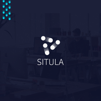 Situla Marketing Agency logo, Situla Marketing Agency contact details