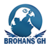 Brohans Ghana Limited logo, Brohans Ghana Limited contact details