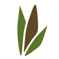 Bamboo Distribution logo, Bamboo Distribution contact details