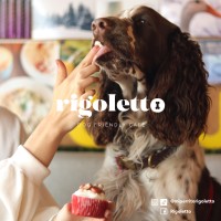 Rigoletto Dog Friendly Café logo, Rigoletto Dog Friendly Café contact details