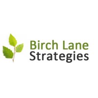 Birch Lane Strategies logo, Birch Lane Strategies contact details