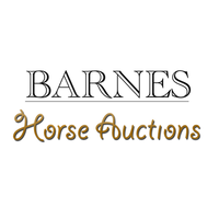 Barnes Auctions logo, Barnes Auctions contact details