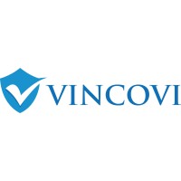 VINCOVI Technology Solutions logo, VINCOVI Technology Solutions contact details