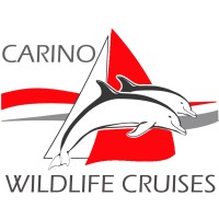 Carino Wildlife Cruises logo, Carino Wildlife Cruises contact details