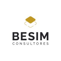 BESIM Consultores logo, BESIM Consultores contact details