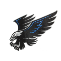 Fox Valley Hawks High School Hockey Club logo, Fox Valley Hawks High School Hockey Club contact details