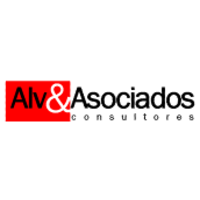 ALV Asociados logo, ALV Asociados contact details