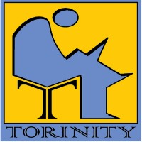 Torinity Consulting Company logo, Torinity Consulting Company contact details