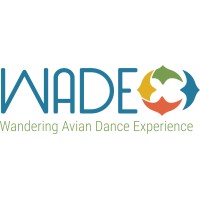 Wandering Avian Dance Experience logo, Wandering Avian Dance Experience contact details