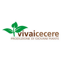 Vivai Cecere logo, Vivai Cecere contact details