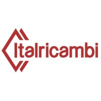 Italricambi logo, Italricambi contact details