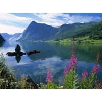 Wellbeing Scandinavia logo, Wellbeing Scandinavia contact details