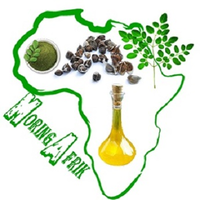 MoringAfrik logo, MoringAfrik contact details