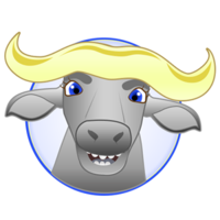 BuffaHost logo, BuffaHost contact details