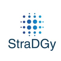 THE STRADGY GROUP, LLC logo, THE STRADGY GROUP, LLC contact details