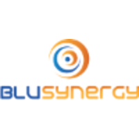 Blu Synergy logo, Blu Synergy contact details