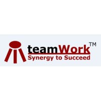 teamWork Info Solutions Pvt. Ltd logo, teamWork Info Solutions Pvt. Ltd contact details