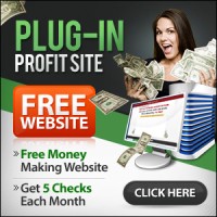 Plug-In Profit Site logo, Plug-In Profit Site contact details