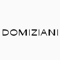 DOMIZIANI INOX LAVA DESIGN S.R.L. logo, DOMIZIANI INOX LAVA DESIGN S.R.L. contact details