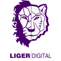 Liger Digital logo, Liger Digital contact details