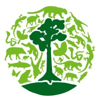 Borneo Nature Foundation International logo, Borneo Nature Foundation International contact details