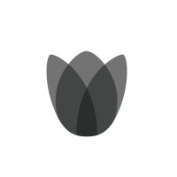 Black Tulip Management logo, Black Tulip Management contact details