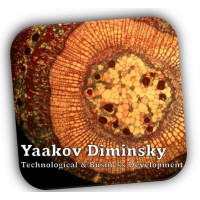 Yaakov Diminsky Technological & Business Development logo, Yaakov Diminsky Technological & Business Development contact details