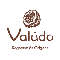 Valudo Lda logo, Valudo Lda contact details