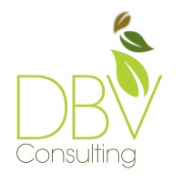 DBV Consulting logo, DBV Consulting contact details