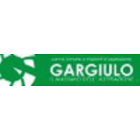 GARGIULO SRL logo, GARGIULO SRL contact details