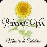 BELMONTE VINI S.R.L. logo, BELMONTE VINI S.R.L. contact details