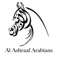 Al Ashraaf Arabians Stud logo, Al Ashraaf Arabians Stud contact details