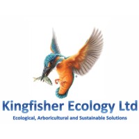 Kingfisher Ecology Ltd logo, Kingfisher Ecology Ltd contact details