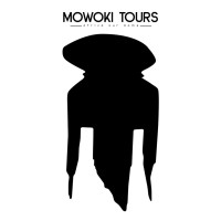 Mowoki Experience logo, Mowoki Experience contact details