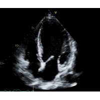 The Arizona Society of Echocardiography logo, The Arizona Society of Echocardiography contact details