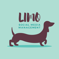 The Limo Hub logo, The Limo Hub contact details