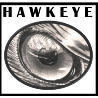 Hawkeye Music Group logo, Hawkeye Music Group contact details