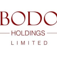 Bodo Holdings logo, Bodo Holdings contact details