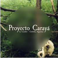 Proyecto Carayá logo, Proyecto Carayá contact details