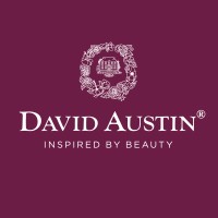 David Austin Wedding Roses logo, David Austin Wedding Roses contact details