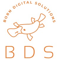 Born Digital Solutions logo, Born Digital Solutions contact details