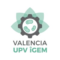 Valencia UPV iGEM logo, Valencia UPV iGEM contact details