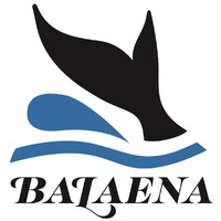 Balaena, Inc. logo, Balaena, Inc. contact details