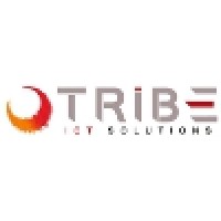 TRIBE srl logo, TRIBE srl contact details