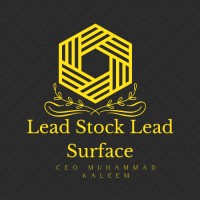 Lead Stock Lead Surface Inc logo, Lead Stock Lead Surface Inc contact details