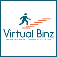 Virtual Binz logo, Virtual Binz contact details