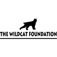 The Wildcat Foundation logo, The Wildcat Foundation contact details