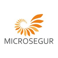 MICROSEGUR | Advanced Security Solutions logo, MICROSEGUR | Advanced Security Solutions contact details